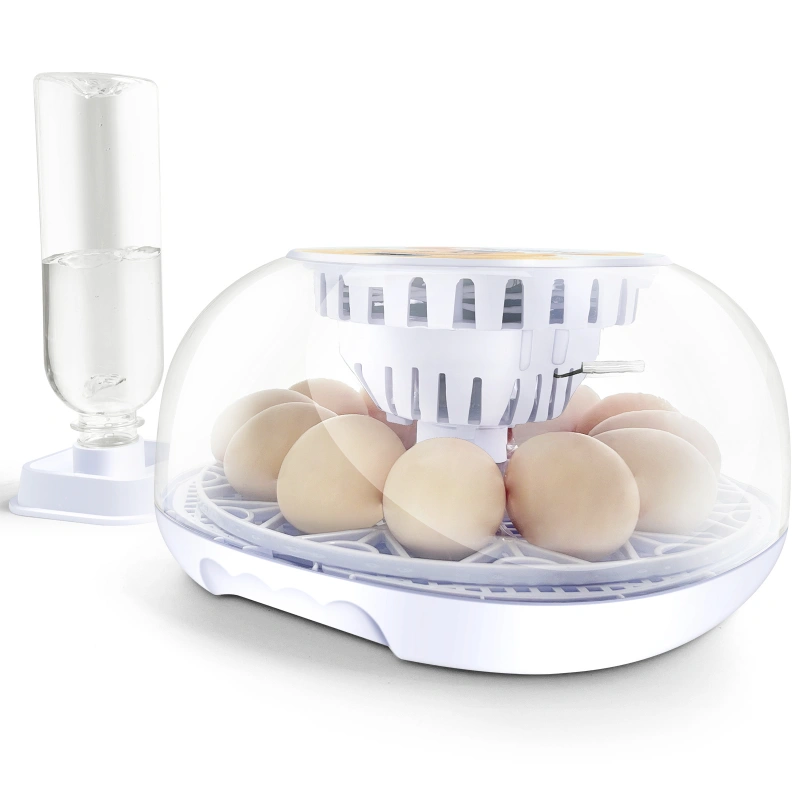 12 Egg Incubator